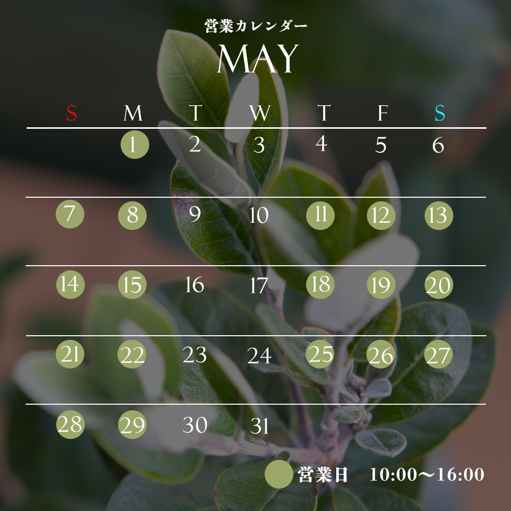 【GW休業日のお知らせ】5月2日（火）～5月6日（土）